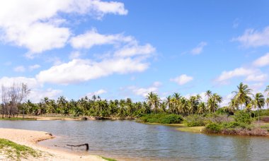 su dolu bir alan, pititinga, doğum sonrası - rio grande beach yapmak norte (b
