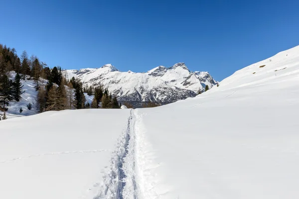 Path in snow and mountains, Cuneaz, Ayas valley (Italy) — Stock Photo, Image