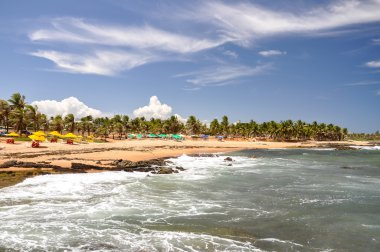 praia Beach forte, salvador de bahia (Brezilya)