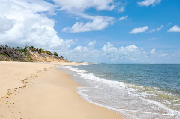 Plaża Pipa natal (BrazyliaPlaya de pipa, natal (Brasil) — Zdjęcie stockowe