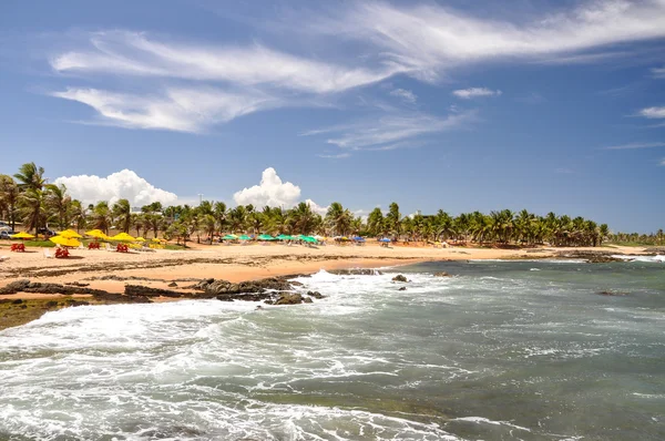 Pláž praia forte, salvador de bahia (Brazílie) — Stock fotografie