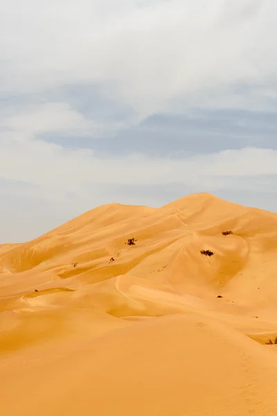 Sanddynerna i oman öknen (oman) — Stockfoto