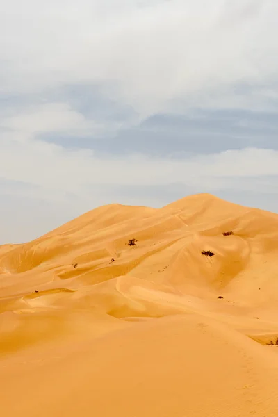 Dunes de sable dans le désert d'Oman (Oman ) — Photo