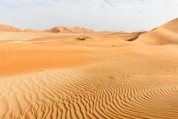 Dune di sabbia nel deserto dell'Oman (Oman ) — Foto Stock