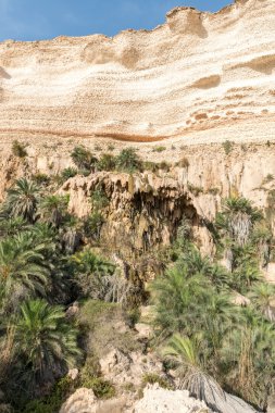 wadi kül shuwaymiyyah (Umman Kanyonu)