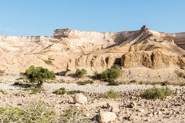 Canyon of Wadi Ash Shuwaymiyyah (Oman) — Stock Photo, Image