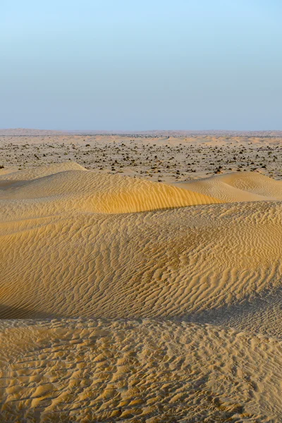 Dunas de areia no deserto de Omã (Omã ) — Fotografia de Stock