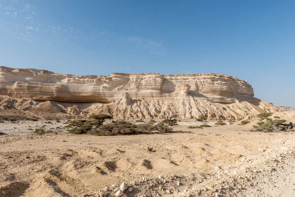 Wadi 灰 shuwaymiyyah （阿曼的峡谷) — 图库照片