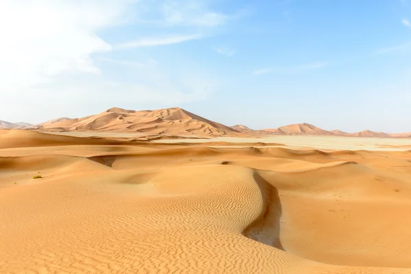 Wydmy pustyni al-khali sęk (oman) — Zdjęcie stockowe