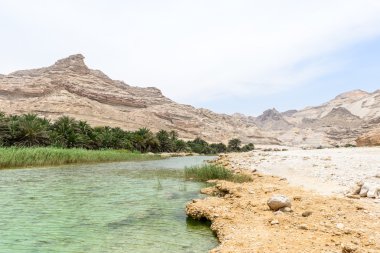 Oasis yakınındaki rota 49, dhofar (Umman)