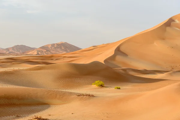 Sanddynerna i oman öknen (oman) — Stockfoto