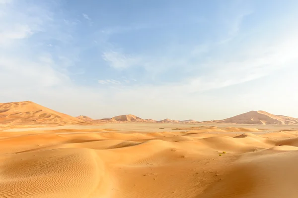 在阿曼沙漠 （阿曼的沙丘) — 图库照片