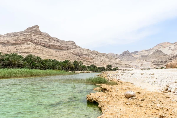 Oáza blízko silnice 49, dhofar (Omán) — Stock fotografie