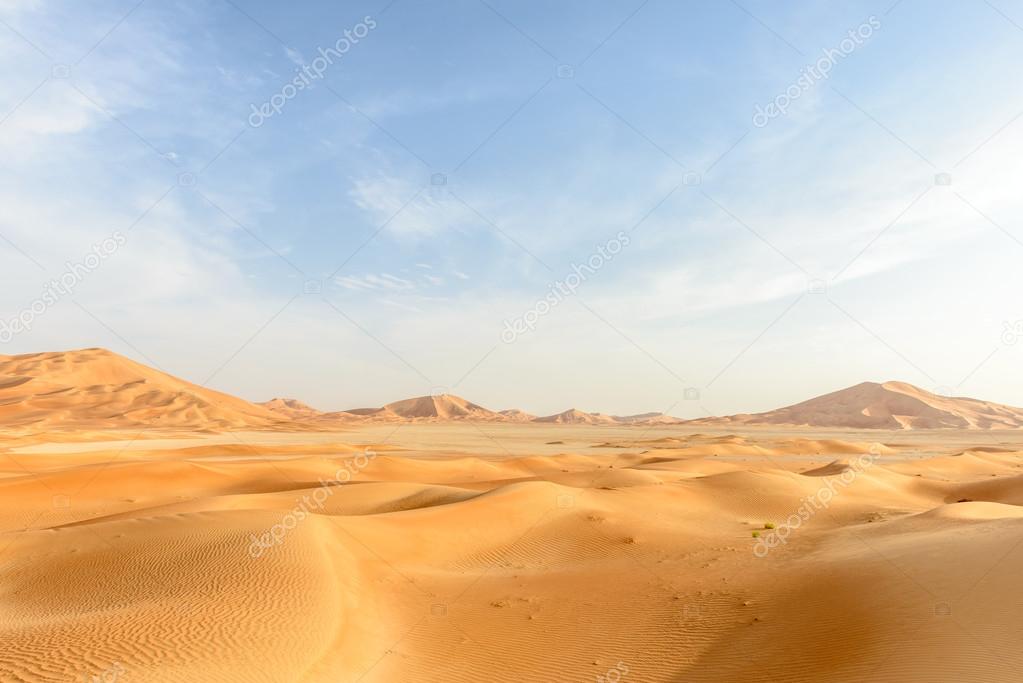 Sand dunes in Oman desert (Oman)