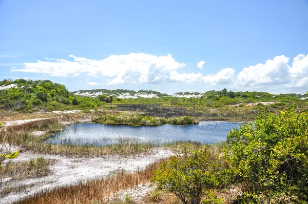 Dunas de σε abrantes, salvador de bahia (Βραζιλία) — Φωτογραφία Αρχείου