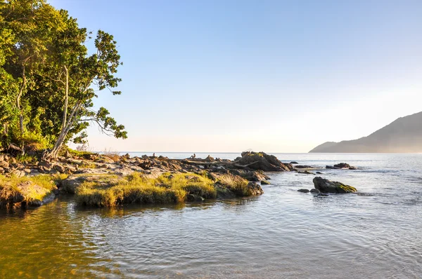 bertioga (Brezilya Beach)