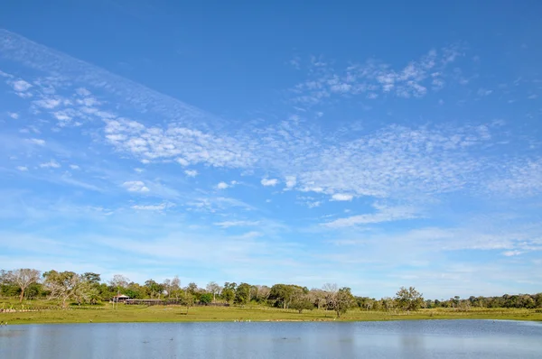 Floded farm, Mato Grosso do Sul (Brasil) ) – stockfoto