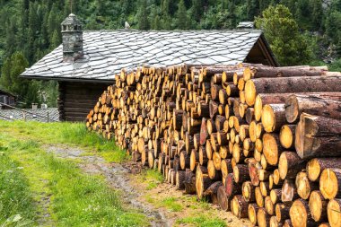 taş çatı, cuneaz (İtalya ile woodpile ve günlük ev)
