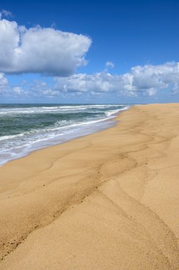 Praia norte, nazare (Portekiz)