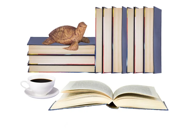 Books — Stock Photo, Image