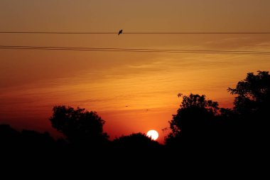 Yaz günlerinde Hindistan köyünden akşam günbatımının yakın görüntüsü