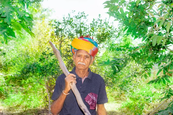Drewniane Narzędzie Ramieniu Indyjskiego Rolnika Podeszłym Wieku Pomocą Którego Kolce — Zdjęcie stockowe