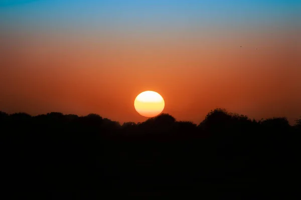 Sunrise Foto Paisagem Com Grande Nascer Sol Montanhas Silhueta Árvores — Fotografia de Stock