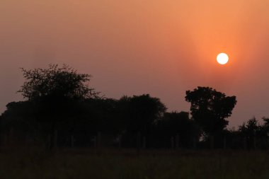 Gün batımının doğal manzara manzarası. Tarlaların ve ağaçların doğal görüntüsü.