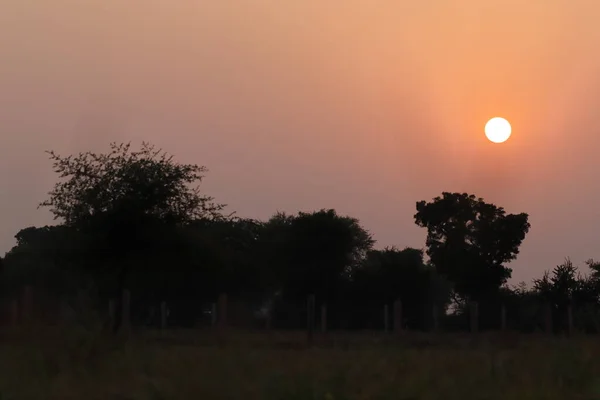 Bright Full Sun Sets Countryside Summer India — Stockfoto