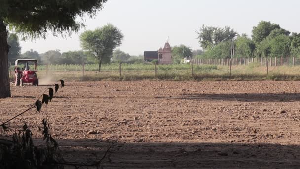 Pali Rajasthan Hindistan Ekim 2021 Bir Hintli Çiftçi Tarlada Traktörün — Stok video