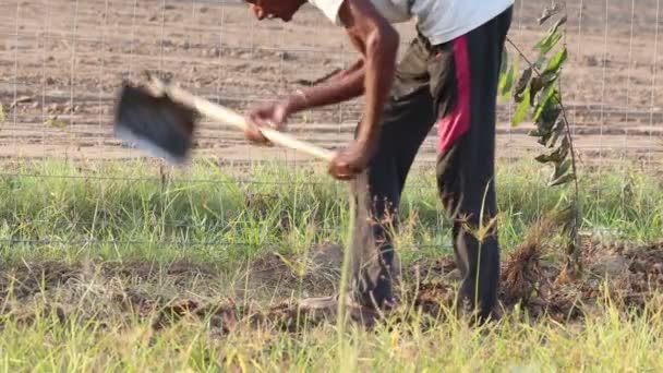 Primer Plano Granjero Indio Cavando Campo Con Ayuda Una Pala — Vídeos de Stock