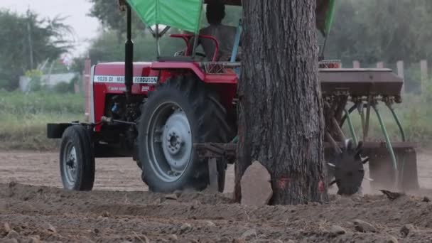 Pali Rajasthan Indie Října2021 Farmář Zasévá Semena Poli Pomoci Traktoru — Stock video