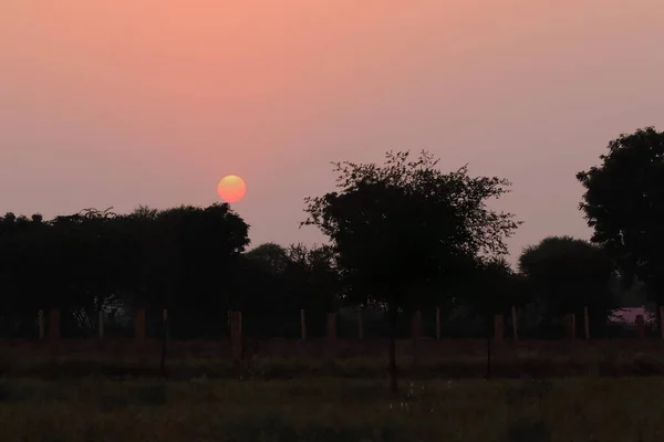 インドの農村部のシルエットの木の後ろからの夕日のクローズアップ写真 — ストック写真