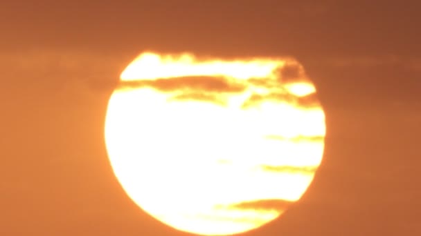 Zbliżenie Pełnego Słońca Jasną Okrągłą Falą Słoneczną Grupą Poruszających Się — Wideo stockowe