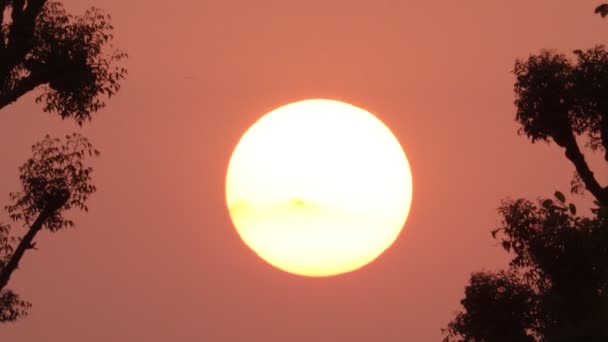 Güneş Batarken Sıcak Dalganın Parlak Güneşinin Yakın Çekim Görüntüleri — Stok video