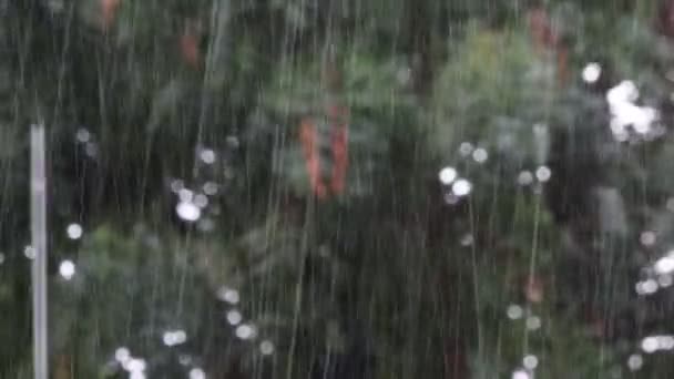 Close Footage Defocused Rain Water Pouring Due Cyclonic Storm Strong — Video