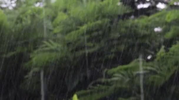 Close Footage Defocused Rain Water Pouring Due Cyclonic Storm Strong — Video