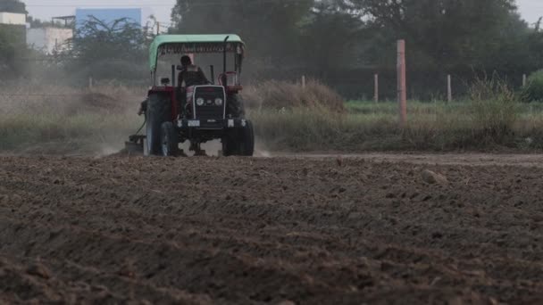 Pali Rajasthan India October29 2021 Close Footage Indian Farmer Plows — ストック動画