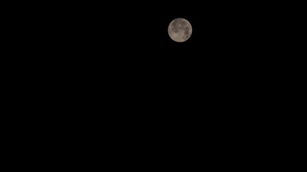 Primer Plano Timelapse Video Luna Moviéndose Noche — Vídeos de Stock