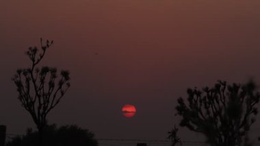 closeup footage of Sun's background footage  at sunset