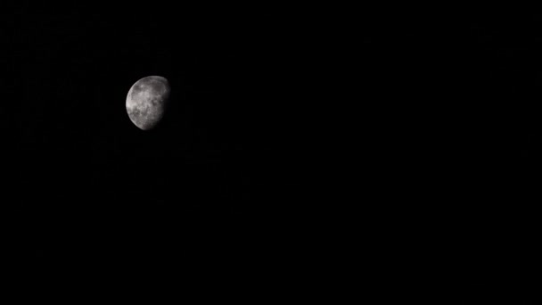 Close Beelden Van Wolken Die Nachts Langs Maan Gaan Volle — Stockvideo