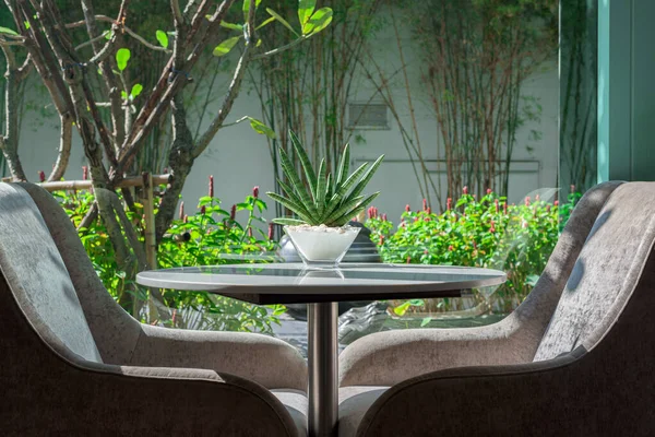 Cam bir kavanoza yerleştirilmiş silindirik yılan, oturma odasındaki bir masanın üzerine yerleştirilmiş..