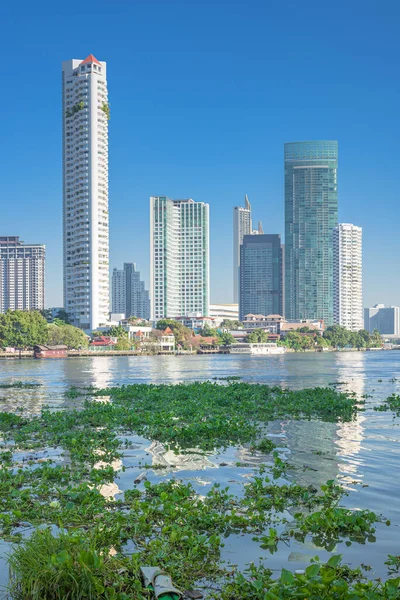 Wasserverschmutzung Pflanzen Und Müll Fluss Vor Dem Hintergrund Der Stadt — Stockfoto