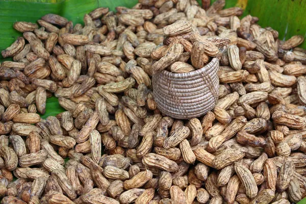 Fıstık
