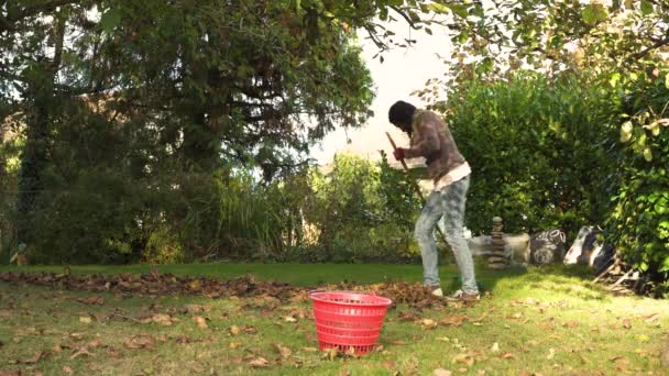 Woman Rakes Her Garden Foliage Late Afternoon Autumn Episode — Stock Video