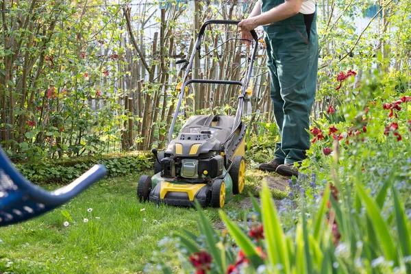 Gardener Green Overall Pushing Lawnmower Small Backyard Spring — 图库照片