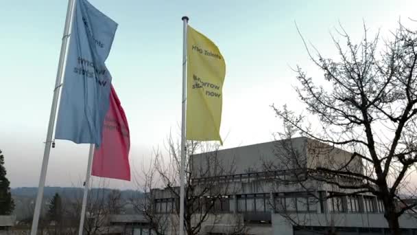 Gallen 2022 Pan Close Flags Hsg University Buildings Bare Tree — Stock Video