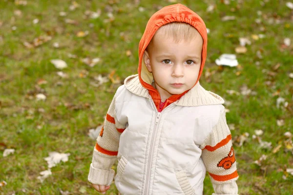 Little child portrait — Stock Photo, Image