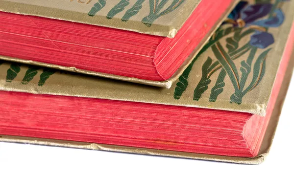 Oud boek met rode bladen — Stockfoto