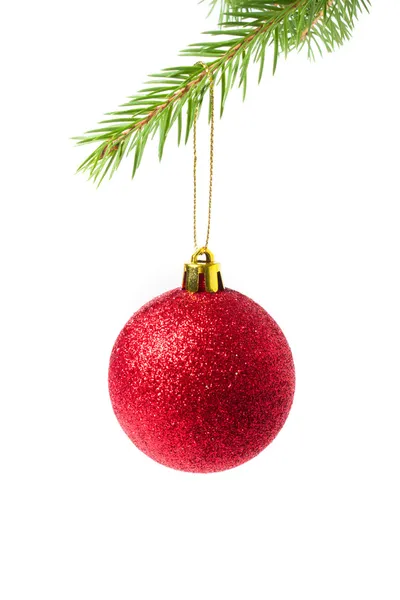 Christmas red ball on green spruce branch - isolated — Stock Photo, Image